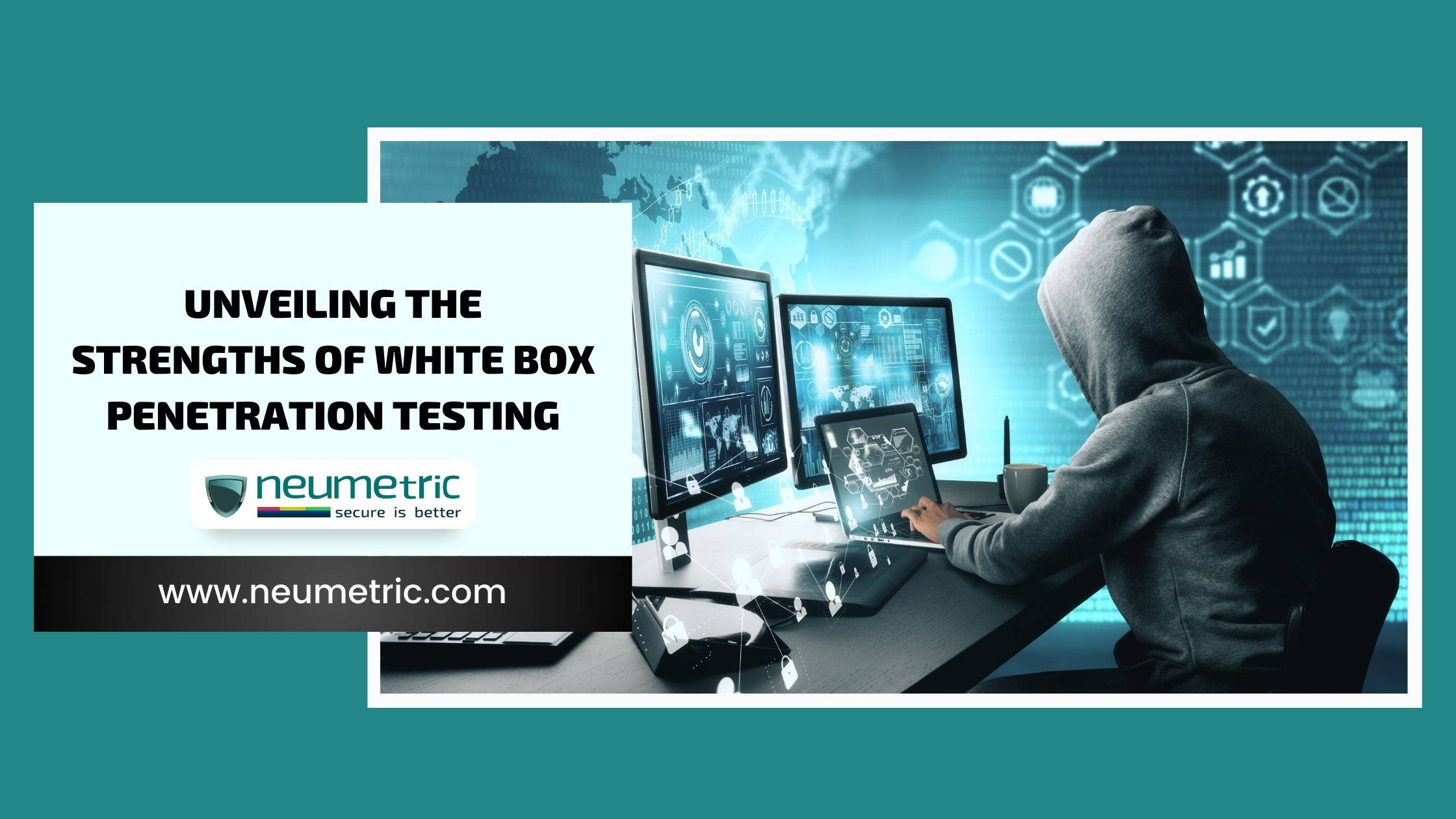 Unveiling the Strengths of White Box Penetration Testing