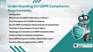Journal (General Articles) | Neumetric Understanding EU GDPR Compliance Requirements