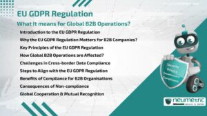EU GDPR Regulation: What It means for Global B2B Operations?