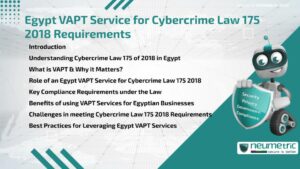 Egypt VAPT Service for Cybercrime Law 175 2018 Requirements