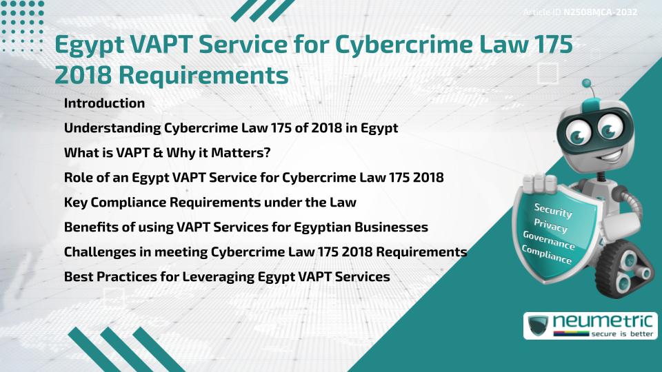 Egypt VAPT Service for Cybercrime Law 175 2018 Requirements