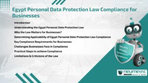 Journal (General Articles) | Neumetric Egypt Personal Data Protection Law Compliance for Businesses