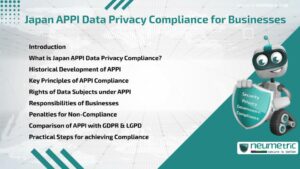 Japan APPI Data Privacy Compliance for Businesses
