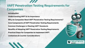VAPT Penetration Testing Requirements for Companies