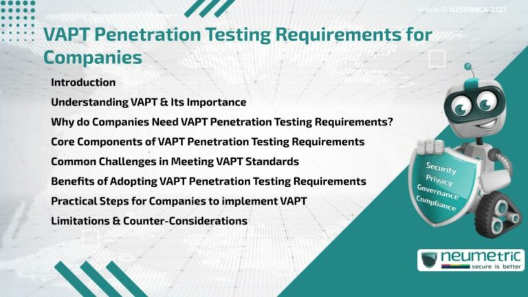 VAPT Penetration Testing Requirements for Companies