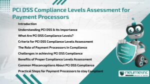 PCI DSS Compliance Levels Assessment for Payment Processors