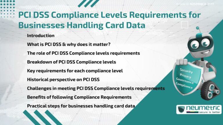 PCI DSS Compliance Levels Requirements for Businesses Handling Card Data