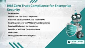 IAM Zero Trust Compliance for Enterprise Security