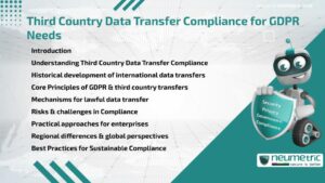 Journal (General Articles) | Neumetric Third Country Data Transfer Compliance for GDPR Needs