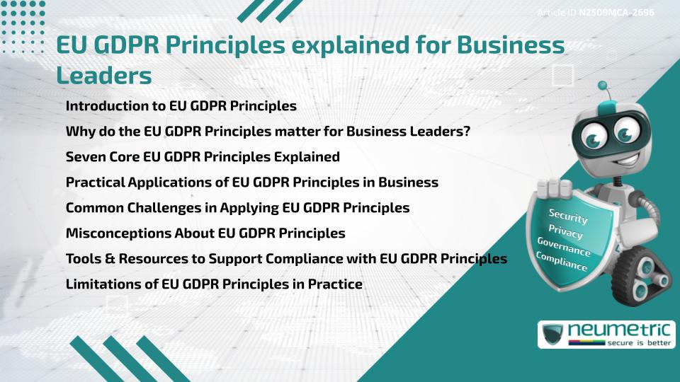 EU GDPR Principles explained for Business Leaders