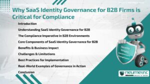 Why SaaS Identity Governance for B2B Firms is Critical for Compliance