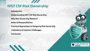 NIST CSF Risk Ownership