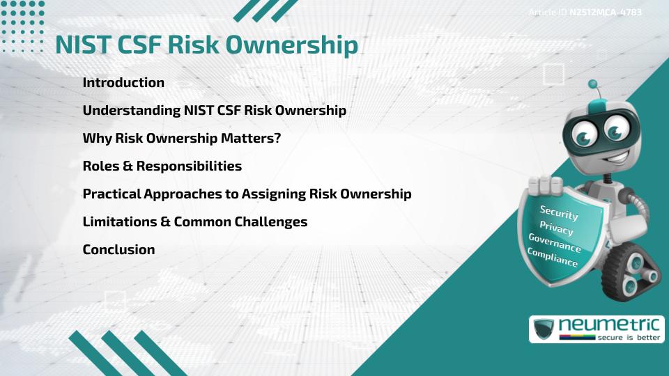 NIST CSF Risk Ownership
