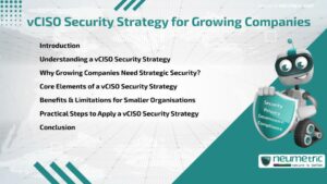 Journal (General Articles) | Neumetric vCISO Security Strategy for Growing Companies