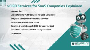 Journal (General Articles) | Neumetric vCISO Services for SaaS Companies Explained