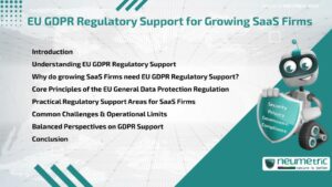 EU GDPR Regulatory Support for Growing SaaS Firms