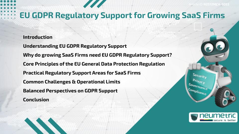 EU GDPR Regulatory Support for Growing SaaS Firms