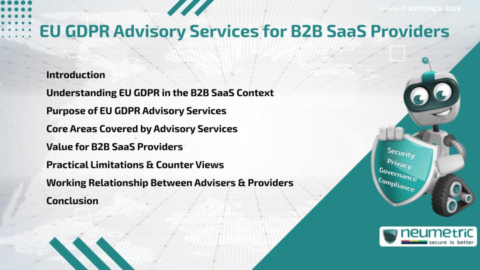 EU GDPR Advisory Services for B2B SaaS Providers