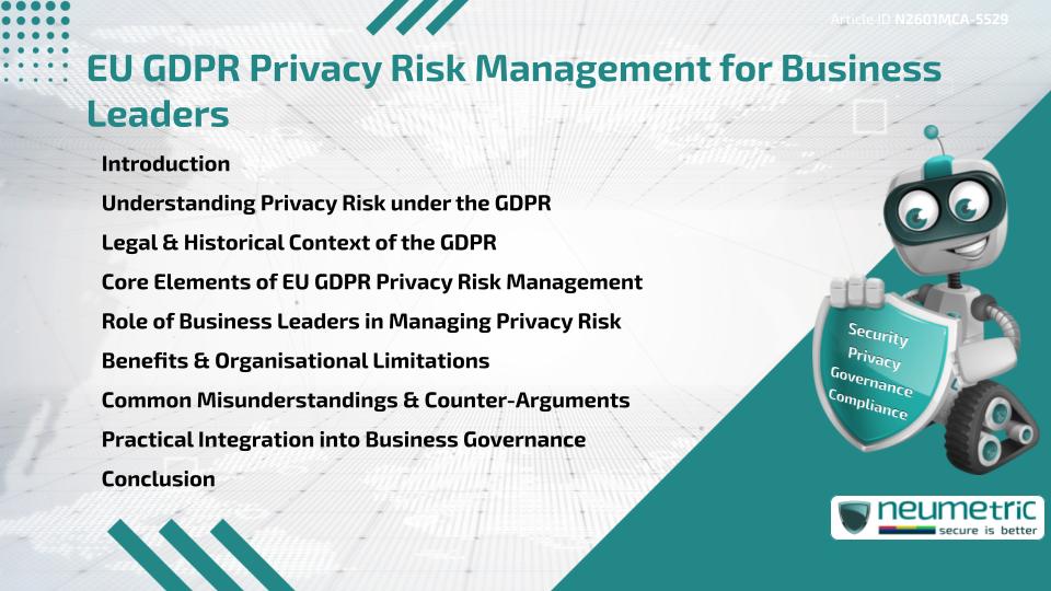 EU GDPR Privacy Risk Management for Business Leaders